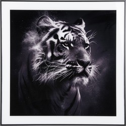 Photo Art Tiger