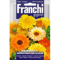  - Franchi