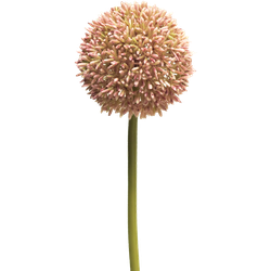 Allium globemaster pink large 68 cm kunstbloem - Nova Nature