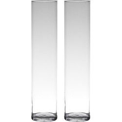 Hakbijl glas - 2x - Bloemenvaas smal - Transparant - cilinder vorm - glas - 50 x 9 cm - Vazen