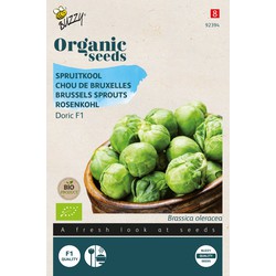 Organic Spruitkool Doric F1 (BIO) - Buzzy