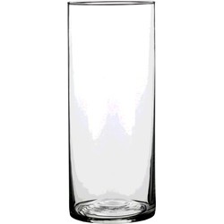 1x Ronde glazen cilinder vaas/vazen transparant 30 x 12 cm lang - Vazen