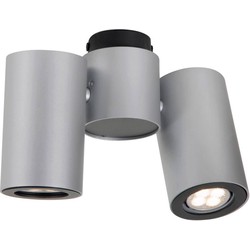 Plafondlamp wit of grijs richtbaar design GU10x2