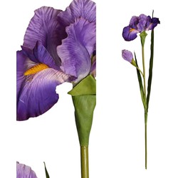 PTMD Garden Bloem Iris Kunsttak - 70 x 21 x 95 cm - Paars