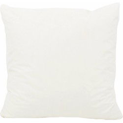 Binnenkussen | 40 x 40 cm | 500 gram | Traagschuim/ Memoryfoam