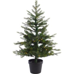 Mini kerstboom tafelboom 120 cm Grandis pot tree - Everlands