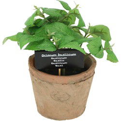 Esschert Design Kunstplant/kruiden basilicum - pot - 18 cm - Kunstplanten