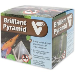 Brillanter Pyramidenteich VT - VT