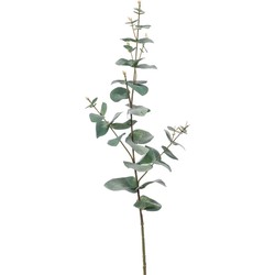 Emerald Kunstplant Eucalyptus - groen - takken - hangplant - 68 cm - Kunstbloemen