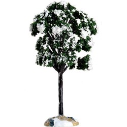 Balsam fir tree, small - LEMAX