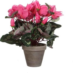 Mica Decorations cyclamen lichtroze in pot stan grijs (dia 11) - 30x30