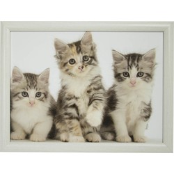 2x Laptray/schoottafel 3 kat/poes/kittens print 43 x 33 cm - Dienbladen