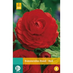 2 stuks - Ranunculus Rood 7 bollen