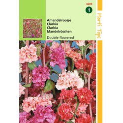 2 stuks - Clarkia Elegans Dubbelbloemig Gemengd