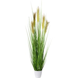 Kopu® Kunstplant Pampusgras 110 cm - 5 pluimen - in witte pot