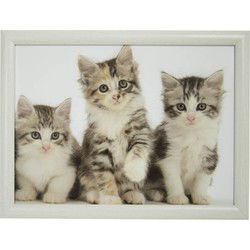 Mars & More schoottafel - katten print - 33 x 43 cm - laptray - Dienbladen