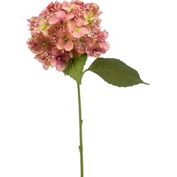Emerald Kunstbloem hortensia tak - 50 cm - oud roze - kunst zijdebloem - Hydrangea - decoratie bloem - Kunsttakken