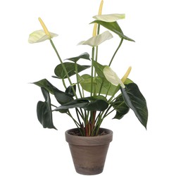 Mica Decorations Anthurium Kunstplant - H40xØ30 cm - Terra pot - Wit