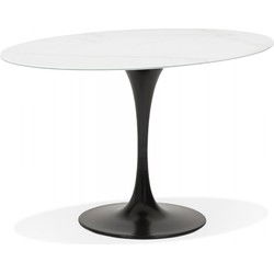 CHAMAN eettafel 160x105x73 cm Wit