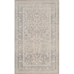 Safavieh Traditioneel Geweven Binnen Vloerkleed, Patina Collectie, PTN326, in Taupe & Taupe, 91 X 152 cm
