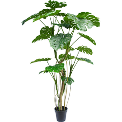 Greenmoods Kunstplant Monstera - Nep plant - 1 Stuk - 210cm  -