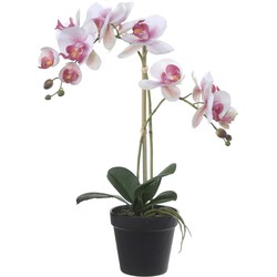 Louis Maes Orchidee bloemen kunstplant in pot - bloemen/bloemetjes - wit/roze/groen - H52 cm - Kunstplanten