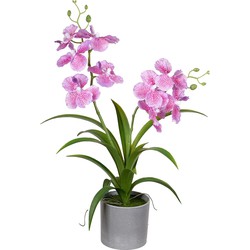 Louis Maes Orchidee bloemen kunstplant in bloempot - roze bloemen - H38 cm - Kunstplanten