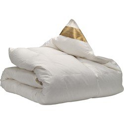 Ten Cate Dekbed - Donzen Dekbed 240x220 - 4 Seizoenen Dekbed - 90% Ganzendons - Zomerdekbed & Winterdekbed