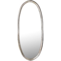 PTMD Spiegel Limera - 50x3x120 cm - Aluminium - Messing