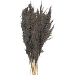 Clayre & Eef Droogbloemen Grijs Droogbloemen
