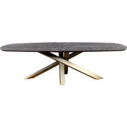 PTMD Alore black gold diningtable oval 240 cm