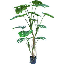 Greenmoods Monstera  - Nep plant - 1 Stuk - 150cm - Groen-