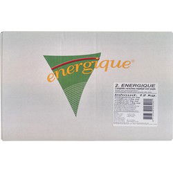 ENERGIQUE NR 2 PUPPY 12 KG