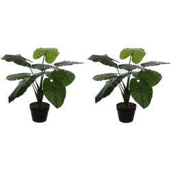 2x Groene kunstplant Colocasia Taro succulent plant in pot - Kunstplanten