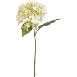 Emerald Kunstbloem hortensia tak - 50 cm - wit - kunst zijdebloem - Hydrangea - decoratie bloem - Kunsttakken