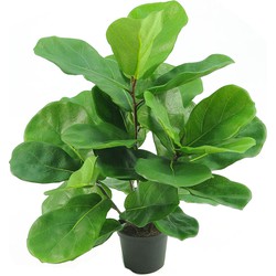 Kunstplant Tabaksplant Fiddle Leaf Elite 45 cm | NeverLeafs