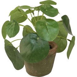 Groene kunstplant pilea plant in pot 13 cm - Kunstplanten