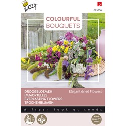 Colourful Bouquets, Elegant dried flowers (droogbloem 2) - Buzzy