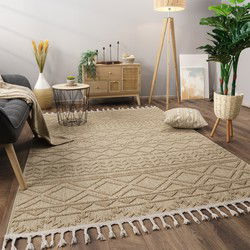 Laagpolig Scandi Munilia Vloerkleed - Beige - 240x340 cm