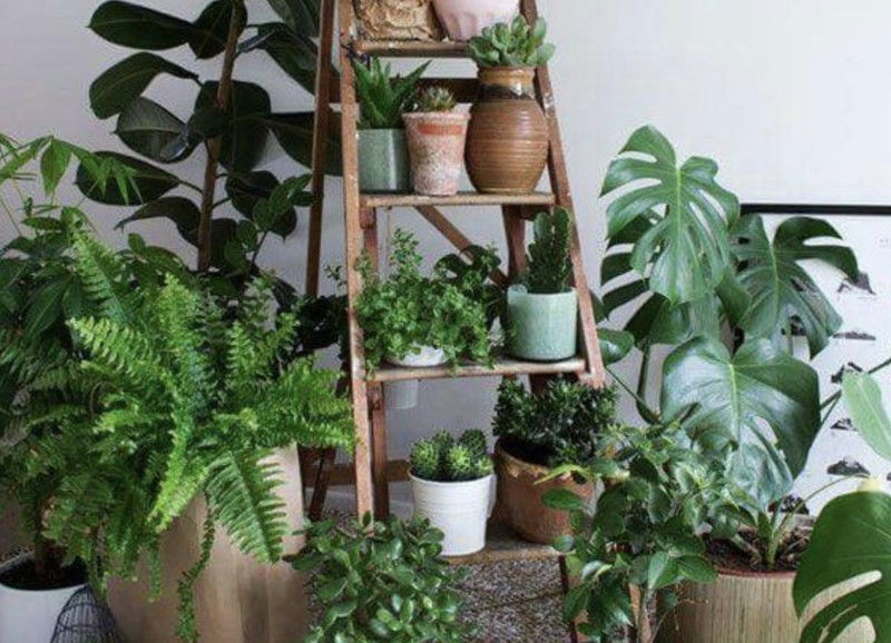 Een plantenhoekje inrichten in drie stappen