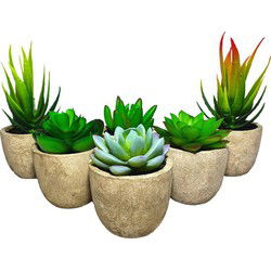 GreenDream® Mini Kunstplanten - Vetplanten in Pot 6 stuks - Cadeautip