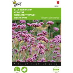 Zaden verbena stijf ijzerhard 0.4 gram