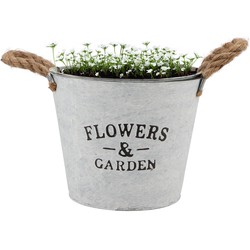 DK Design plantenpot/bloempot emmer Jardin- zink - wit - D22 x H16 cm - Plantenpotten