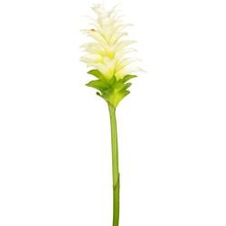 Greenmoods Kunstbloem Kurkuma - Curcuma longa - Nep plant - 1 Stuk - 80cm