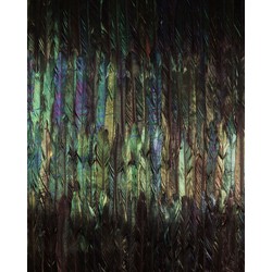 Komar fotobehang Dark Wings multicolor - 200 x 250 cm - 610005