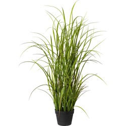 Kopu® Kunstplant Grasplant 120 cm - in zwarte pot - Nepplant