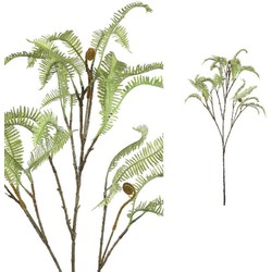 PTMD Leaves Plant Draak Varen Kunsttak - 50 x 39 x 100 cm - Groen
