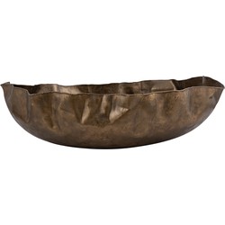 PTMD Schaal Conill - 85x66x27 cm - Aluminium - Goud