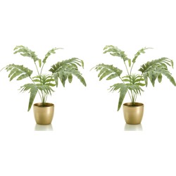 Set van 2x stuks Phlebodium kunstplant grijs/groen 67 cm in gouden pot - Kunstplanten