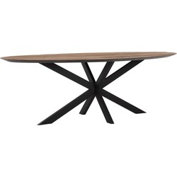 DTP Home Dining table Shape oval,78x240x110 cm, recycled teakwood